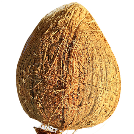 Semi Husked Coconut
