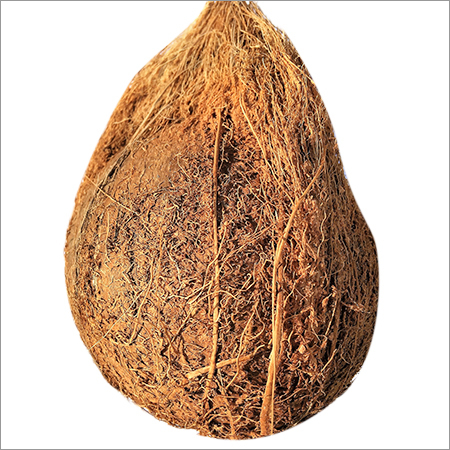 Husked Coconut