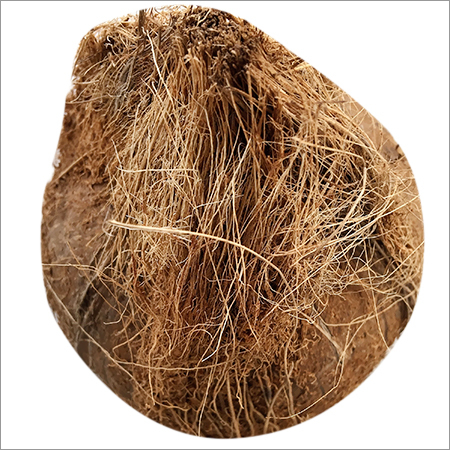 Raw Husked Coconut
