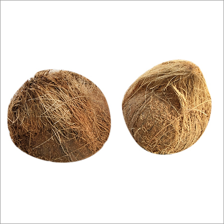 Indian Coconut