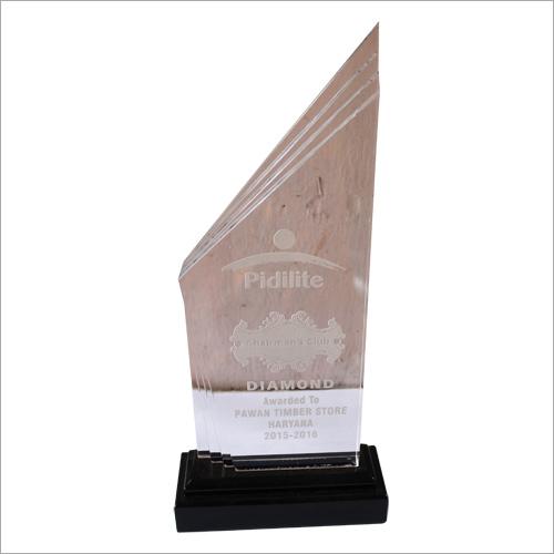 Transparent Acrylic Trophy