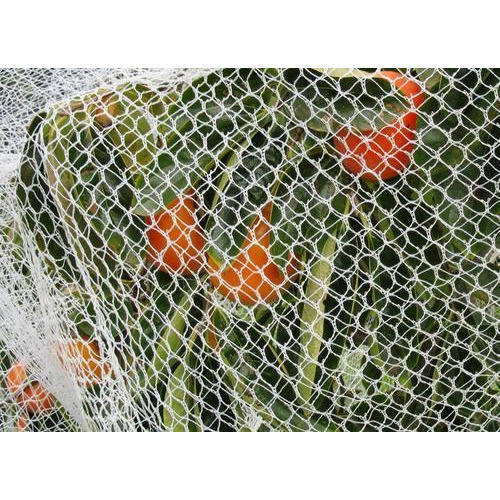 Anti Bird Net