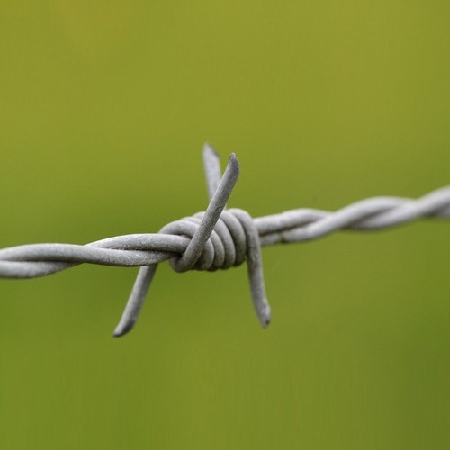SS Barbed Wire