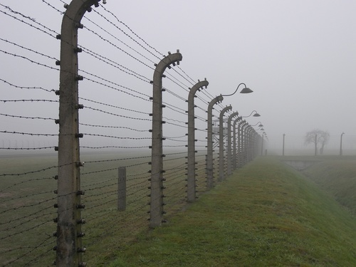 Barbed Wire Fence