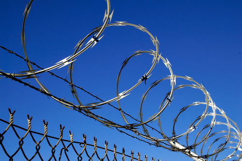 Razor Wire - High Tensile Steel, Variable Diameter, Galvanized Coating | Cost Effective, Durable, Difficult to Cut, High Tensile Strength, Sharp Barbs