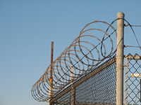 Concertina Barbed Wire