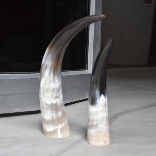 Decorative Horn Items