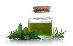 Mint Oil By NATURAL AROMA PRODUCTS PVT. LTD.