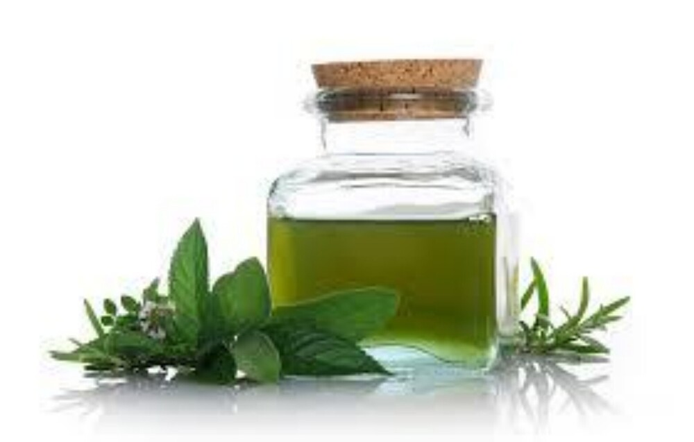 Pure Mint Oil