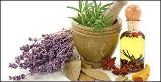 Herbal Extract By NATURAL AROMA PRODUCTS PVT. LTD.