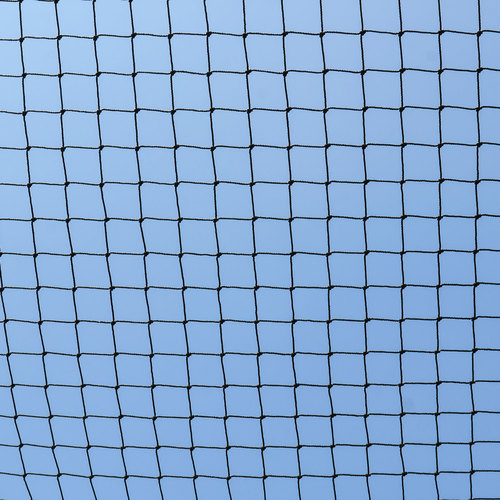 Cricket Net