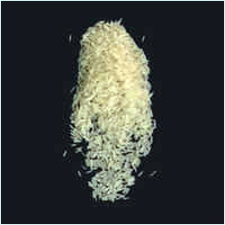 Pusa Basmati Golden Sella Rice