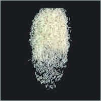 Pusa Basmati Sella Rice