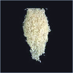 Traditional Basmati Golden Sella Rice