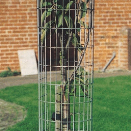 Welded Mesh Tree Guard