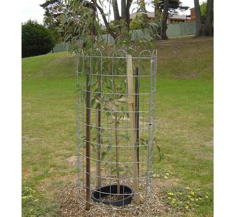 Tree Guard