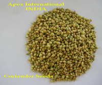 Organic Coriander Seeds