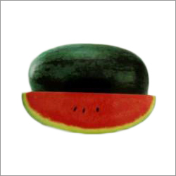 Watermelon Seeds