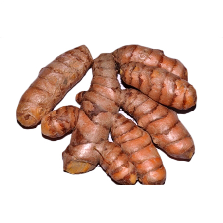 Turmeric Seeds
