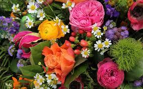 Flowers Flowers