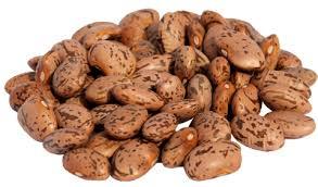 Pinto Beans Pinto Beans