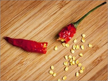 Indian Chilli Seeds