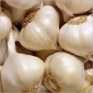 Dry Garlic