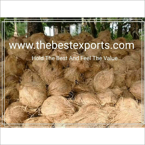 Semi Husked Coconut