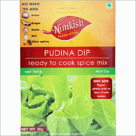 Pudina Dip Chutney Masala