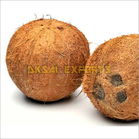 Semi Husked Coconut