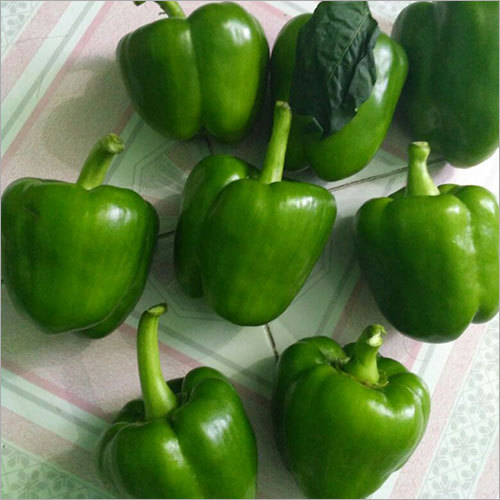 Fresh Capsicum