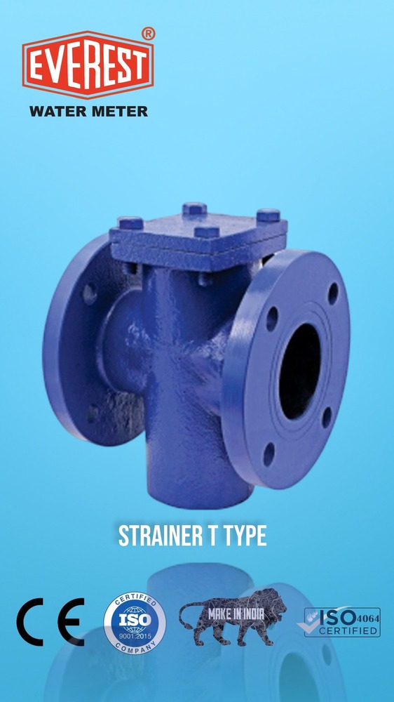 Mild Steel T Type Strainers