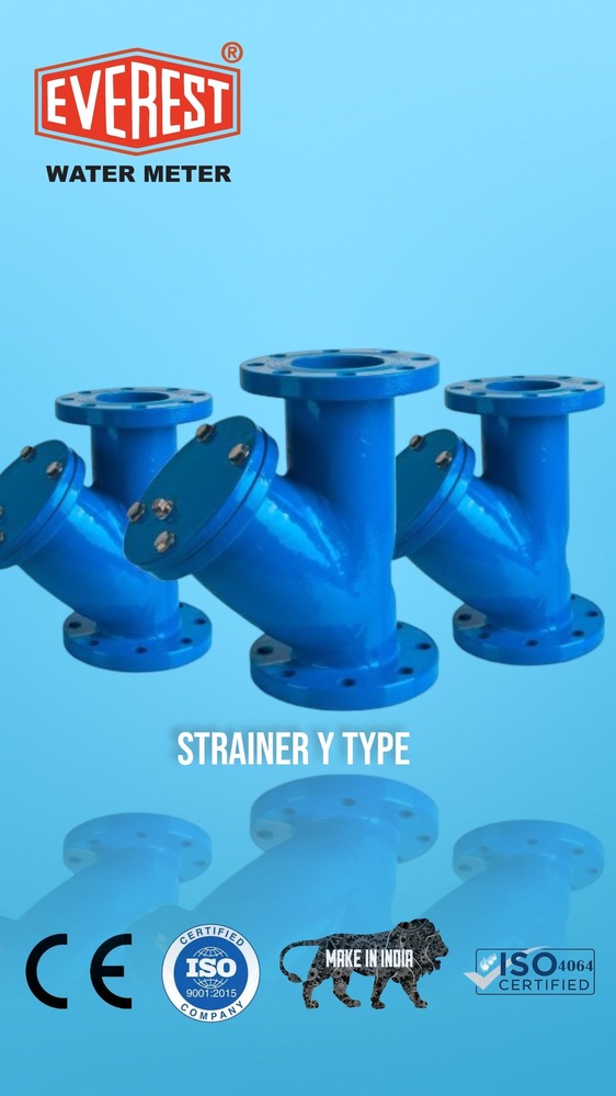 Mild Steel Y Type Strainer