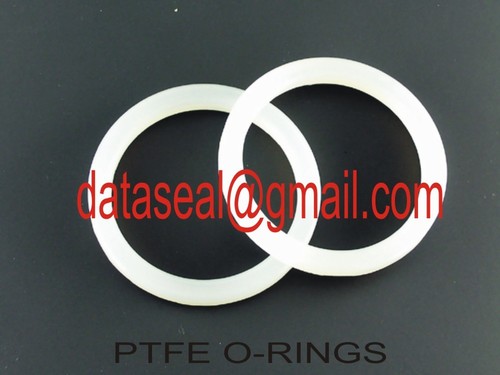 PTFE O-rings