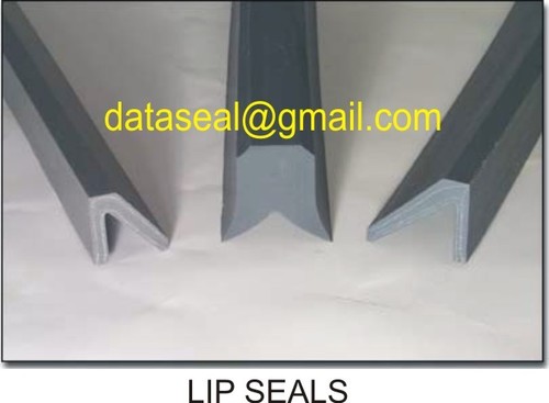 Lip Seals