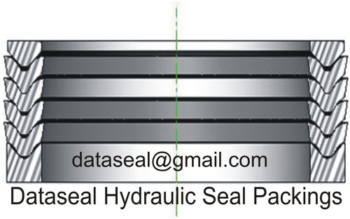 Hydraulic Seal Packings