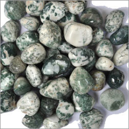 Zebra Pebble Zebra Pebble