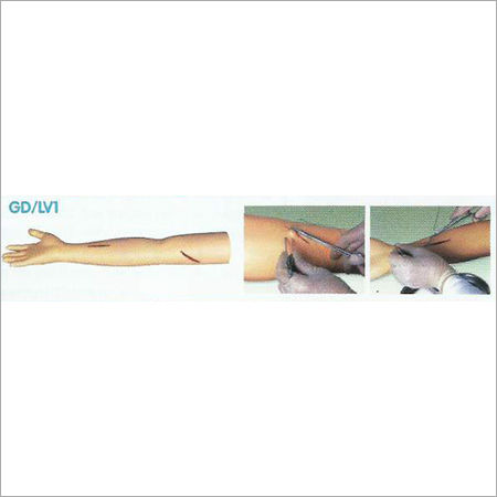 Advanced Surgical Suture Arm - Color: Multicolor