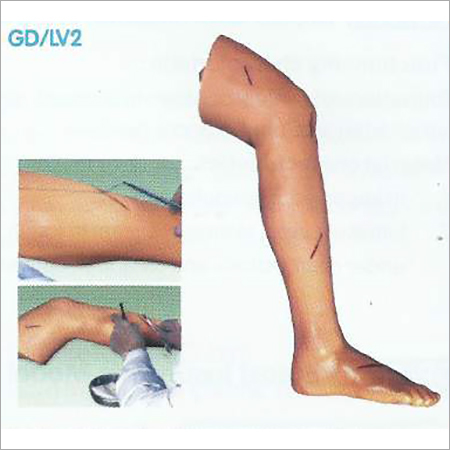 Surgical Suture Leg