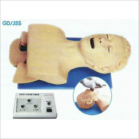 Airway Intubation Study Model