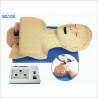 Airway Intubation Study Model