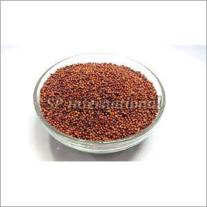Ragi Seeds