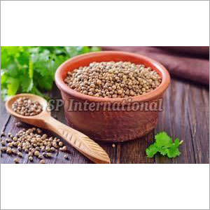 Coriander Seeds