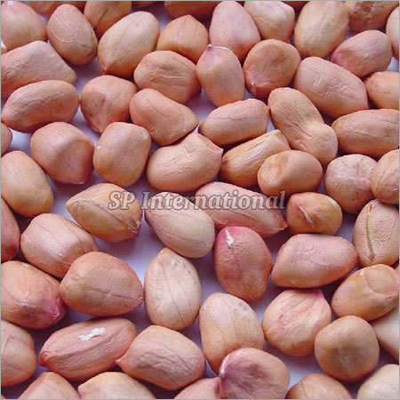 Groundnut Kernels