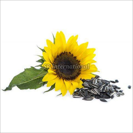 Sunflower Seeds