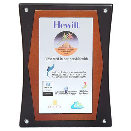 Brand Promotional Trophy