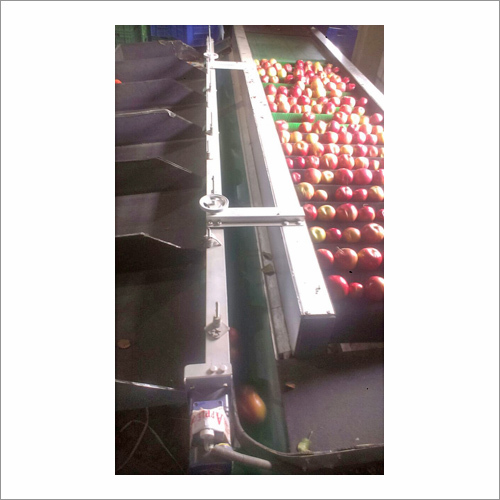 Royal Apples