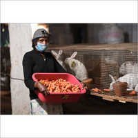 Rabbit Feed