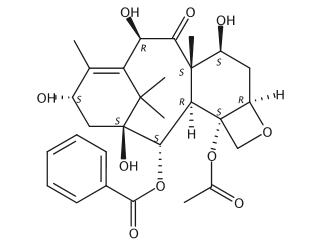 10-Deacetylbaccatin III - White Powder, CAS 32981-86-5 | 99% Purity, Organic Synthesis, Pharmaceutical & Agrochemical Use