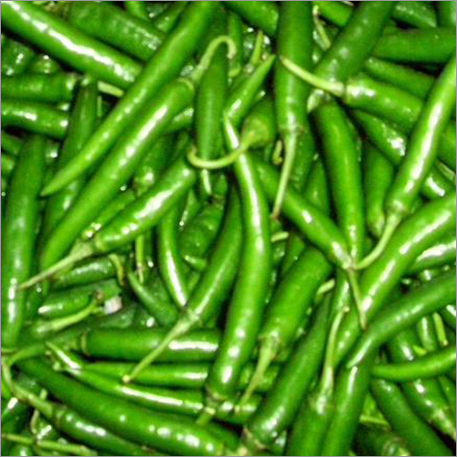 Fresh Green Chilli